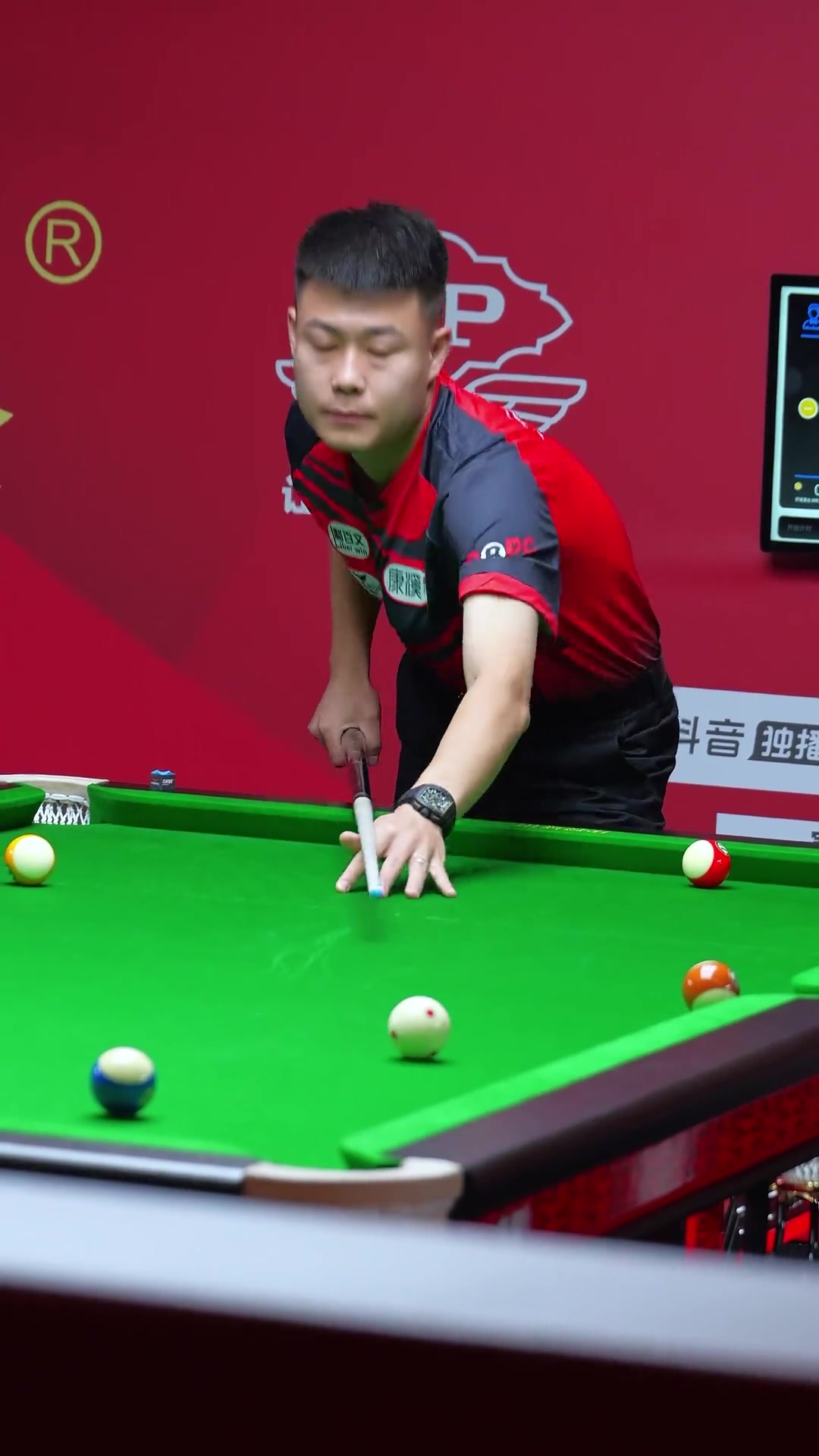 这一体系的 这一体系的