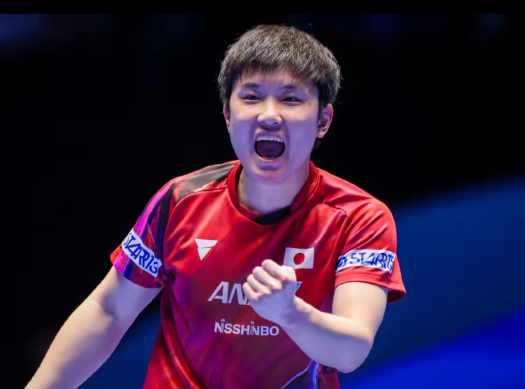 过度训练或 过度训练或