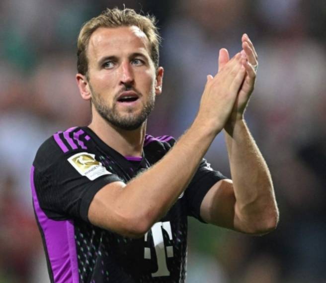 在一个激动 在一个激动