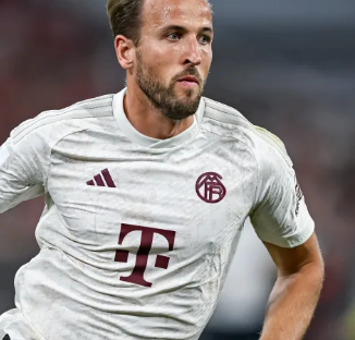 队伍名单总 队伍名单总